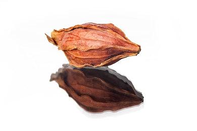 Steam远程同乐游戏节预告 2月13日开始